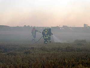 Brand eines Feldes; Foto:Matthias Probst (FFW Wilhelmsdorf)
