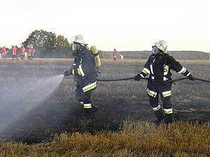 Brand eines Feldes; Foto:Matthias Probst (FFW Wilhelmsdorf)