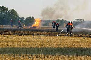 Brand eines Feldes;Foto: Heilo Rost (FFW Dachsbach)