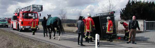 Pferdeanhänger samt Ross umgefallen;Foto:j. Schmidt